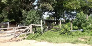 Sítio jardim são domingos 