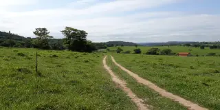 Sítio jardim são domingos 