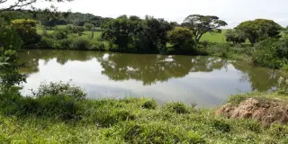 Sítio jardim são domingos 