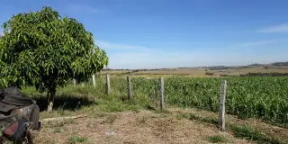 Sitio próximo ao pesqueiro mirim 