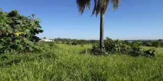Terreno estrada do mirim (sítio nova esperança)