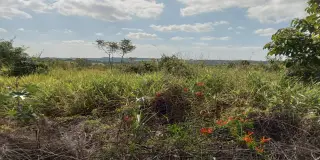 Terreno estrada do mirim (sítio nova esperança)