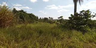 Terreno estrada do mirim (sítio nova esperança)