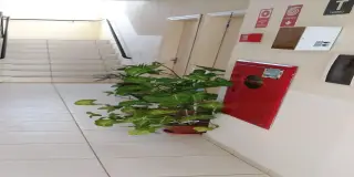 Apartamento jardim alice - edifício nações unidas 
