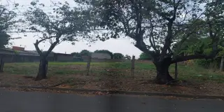 Chácara alto da bela vista 