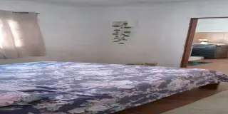 Casa jardim oliveira camargo