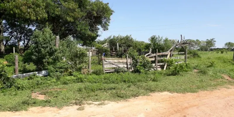 Sítio jardim são domingos  - Foto 6