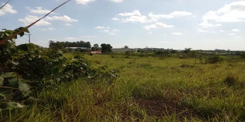Terreno estrada do mirim (sítio nova esperança) - Foto 0