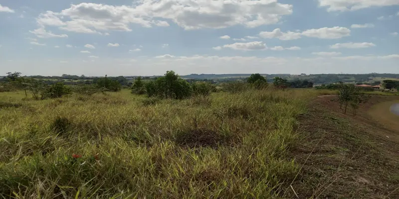 Terreno estrada do mirim (sítio nova esperança) - Foto 5