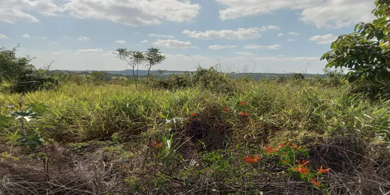Terreno estrada do mirim (sítio nova esperança) - Foto 7
