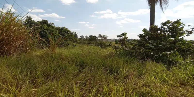 Terreno estrada do mirim (sítio nova esperança) - Foto 8