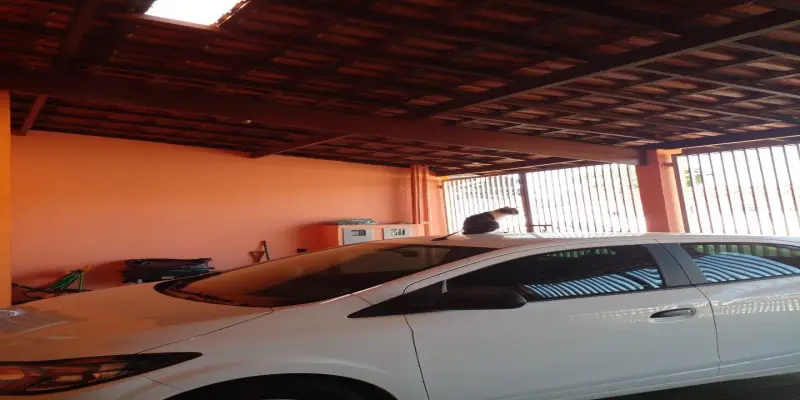 Casa jardim castelo branco  - Foto 11