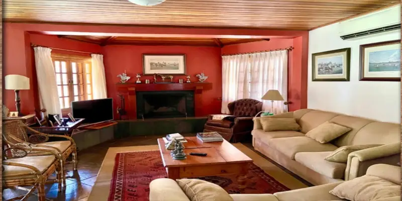 Haras itaguassú helvetia  - Foto 13