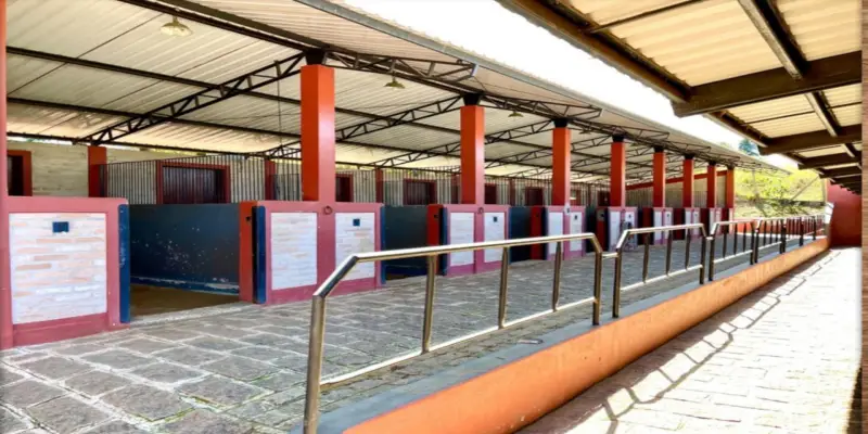 Haras itaguassú helvetia  - Foto 14