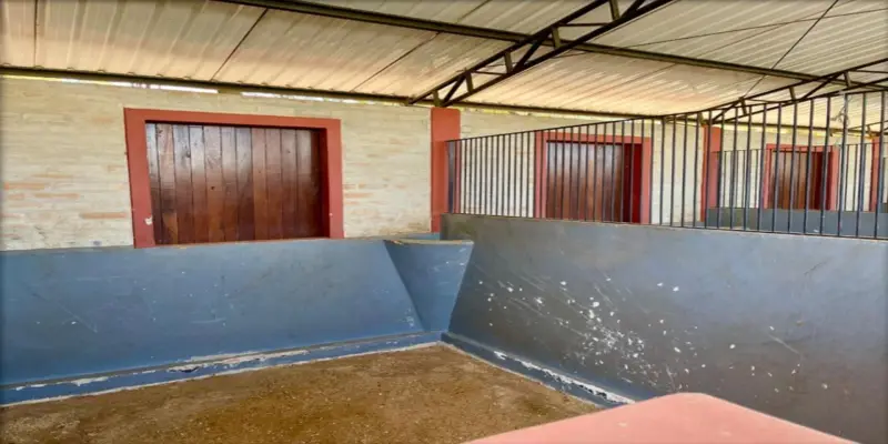 Haras itaguassú helvetia  - Foto 4