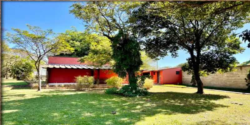 Haras itaguassú helvetia  - Foto 5