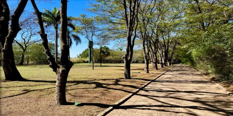 Haras itaguassú helvetia  - Foto 6