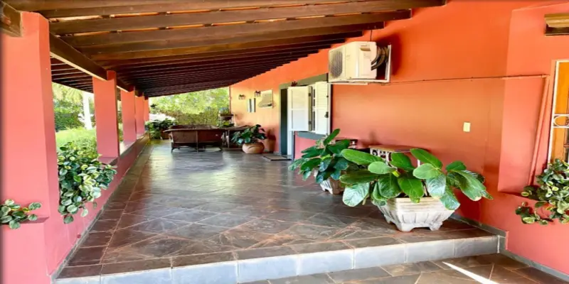 Haras itaguassú helvetia  - Foto 8