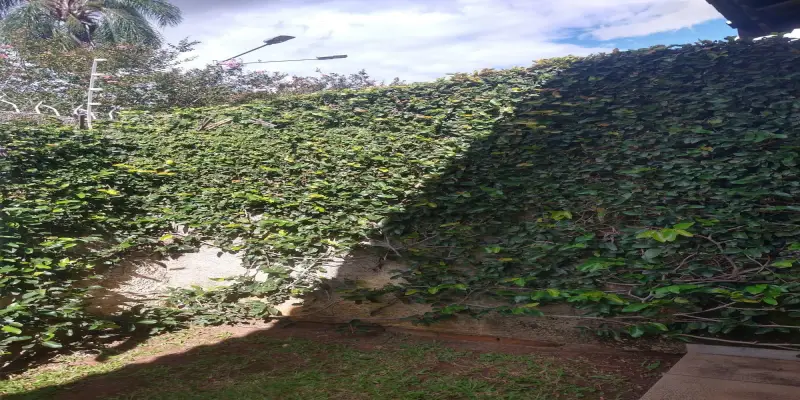 Casa vila suiça  - Foto 0