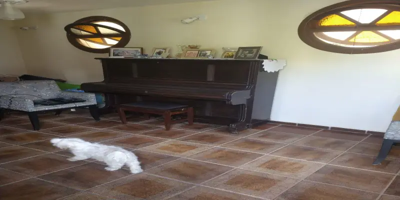 Casa vila suiça  - Foto 6